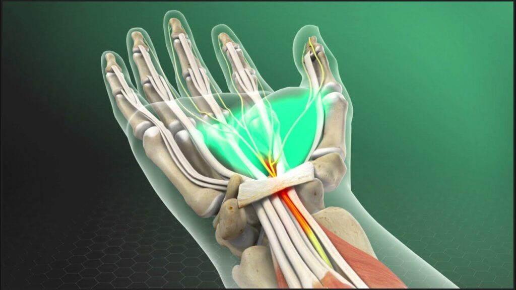 WhatsApp Image 2024 12 22 at 17.15.28