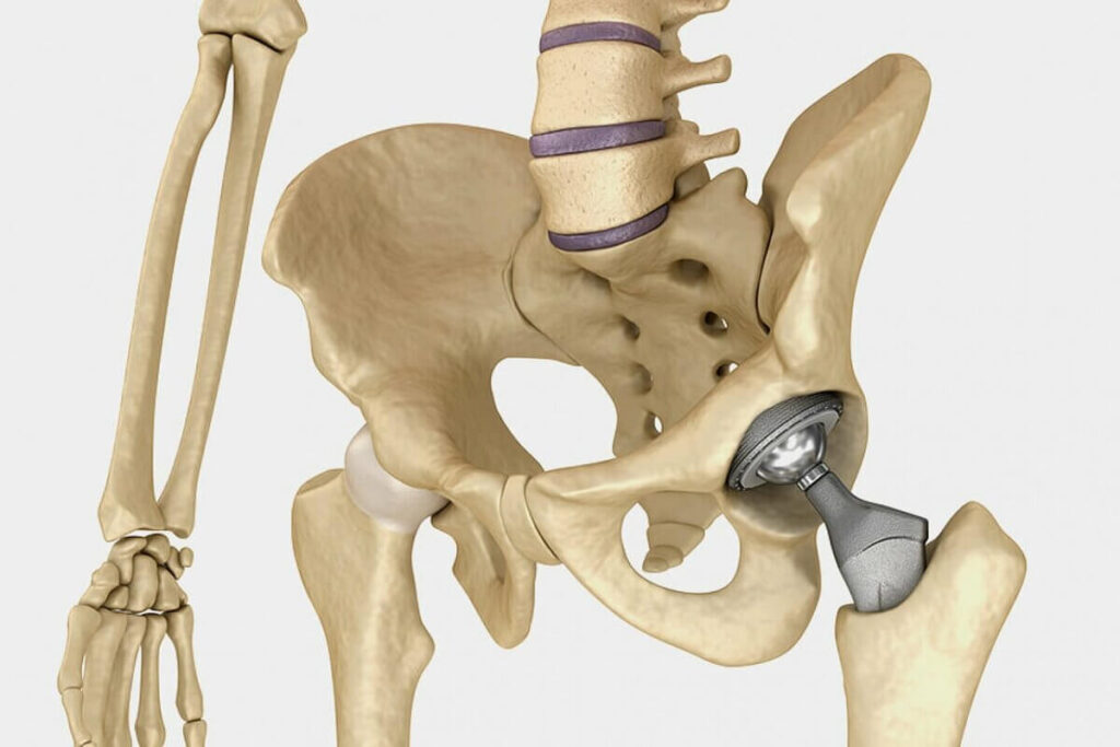 WhatsApp Image 2024 12 22 at 17.27.53 1