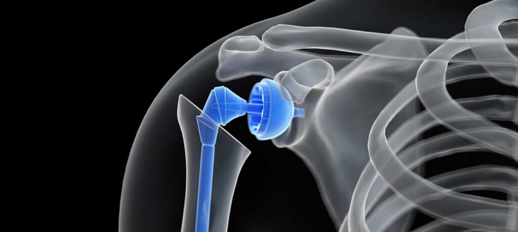 WhatsApp Image 2024 12 22 at 17.27.53 2